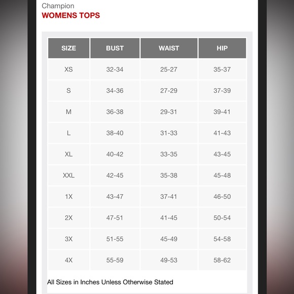 Champion Women's Short Sleeve Cropped T-Shirt - Gray S - Picture 2 of 7